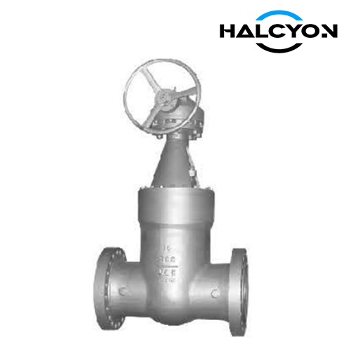 Class 2500 API Self Sealing Cryogenic Gate Valve